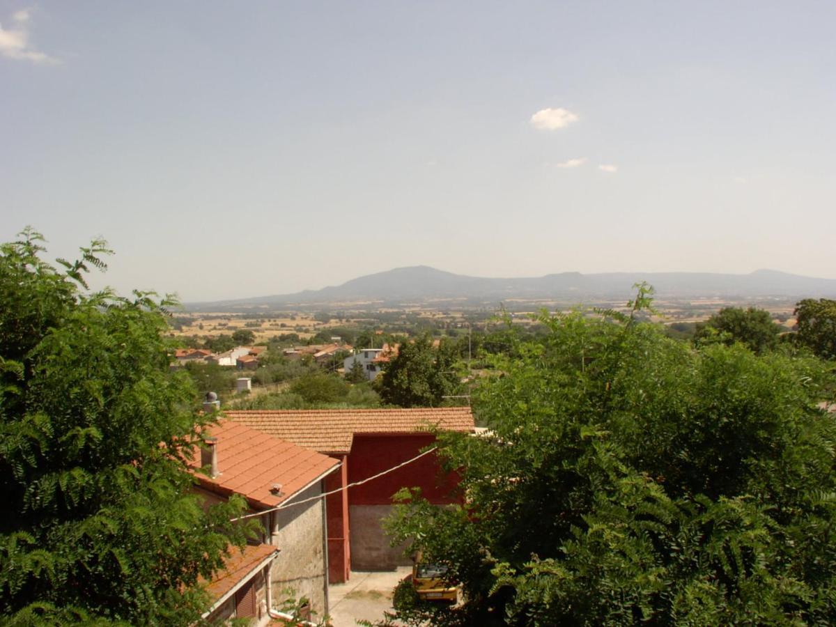 I Tulipani Olandesi Zepponami Exterior foto