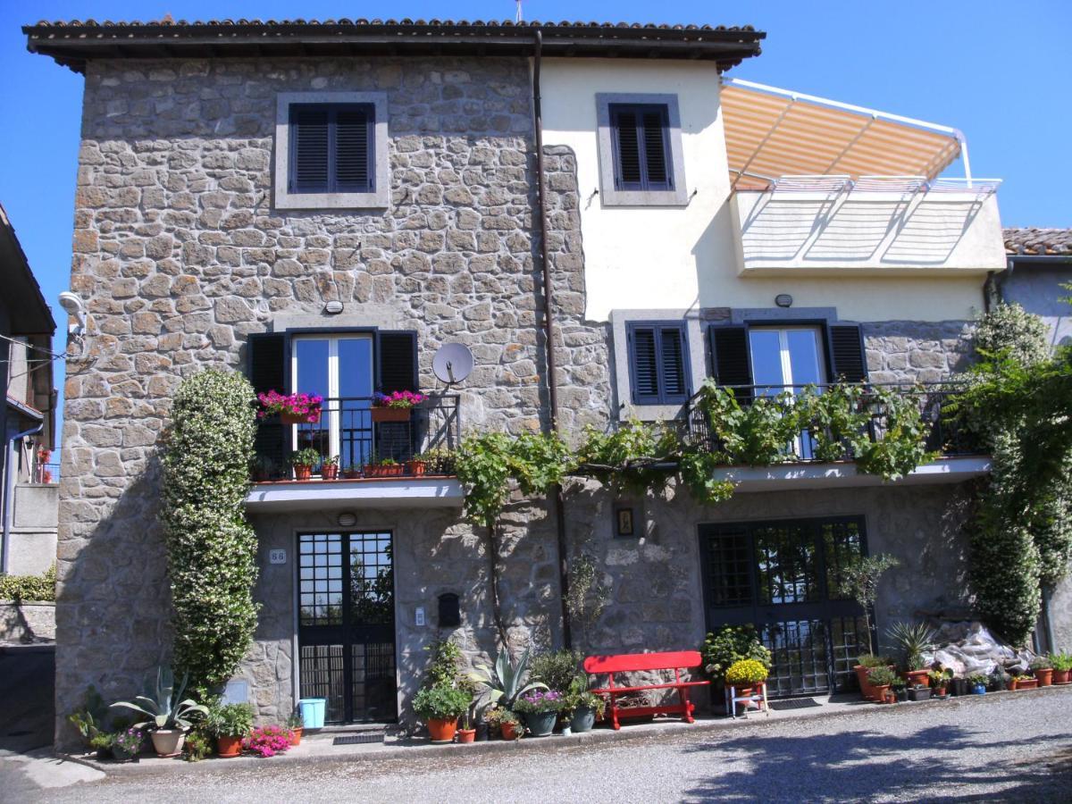 I Tulipani Olandesi Zepponami Exterior foto
